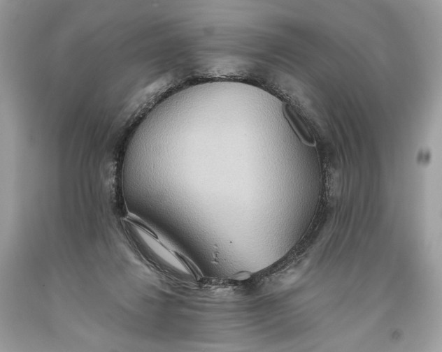 X0000093520260200710261226