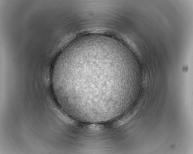 X0000093520261200710261226