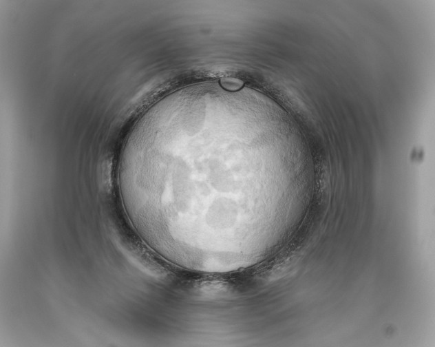 X0000093520262200710261226