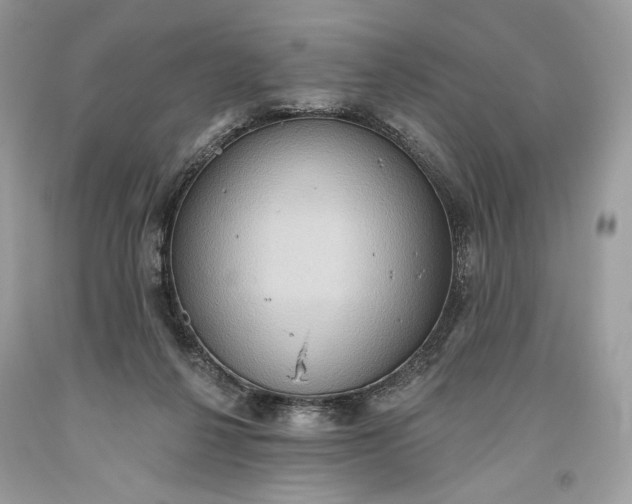 X0000093520264200710261226