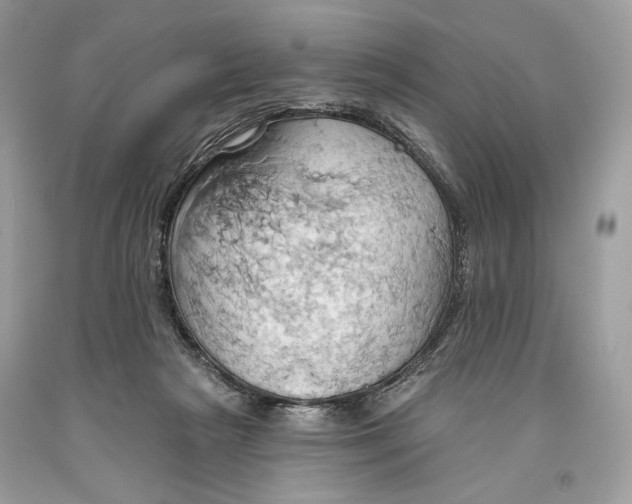 X0000093520265200710261226