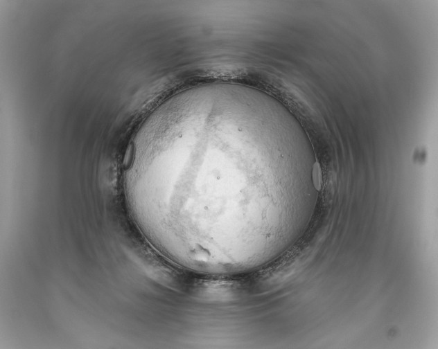 X0000093520268200710261226