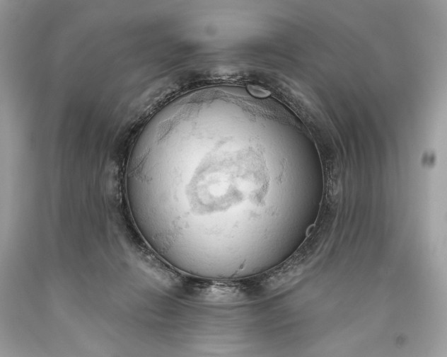 X0000093520270200710261226