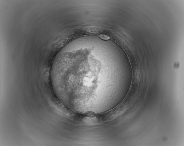 X0000093520271200710261226