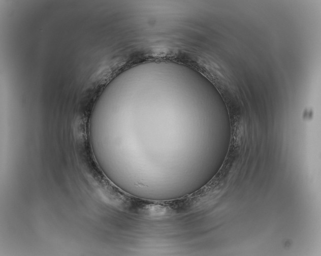 X0000093520272200710261226