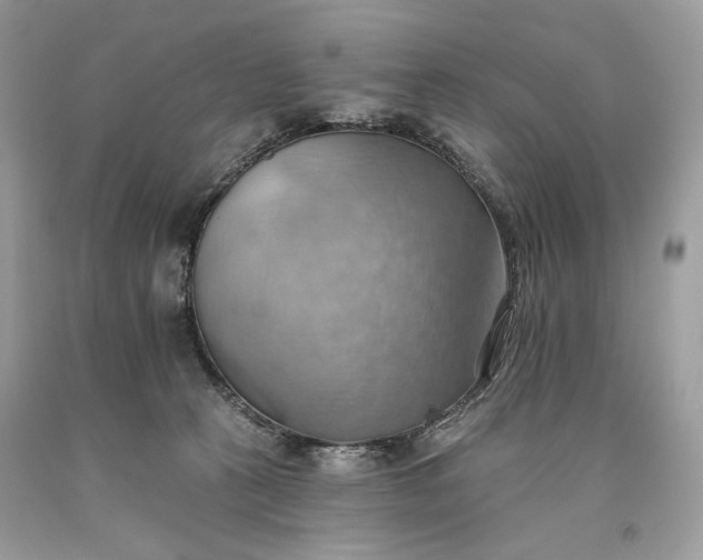 X0000093520273200710261226