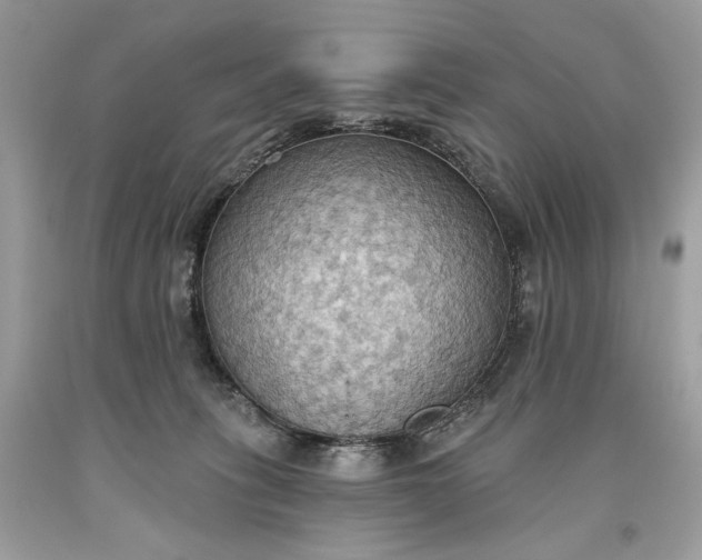 X0000093520275200710261226