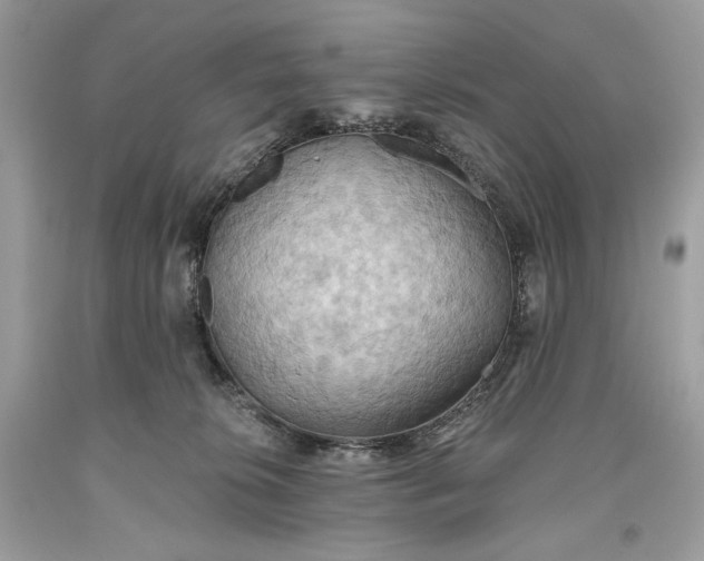 X0000093520276200710261226