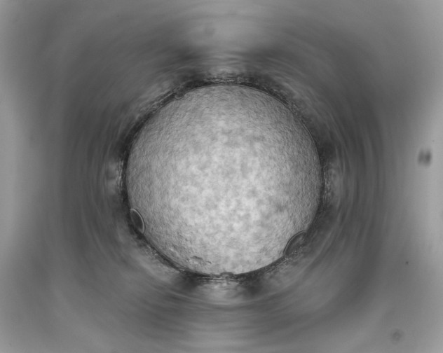 X0000093520278200710261226