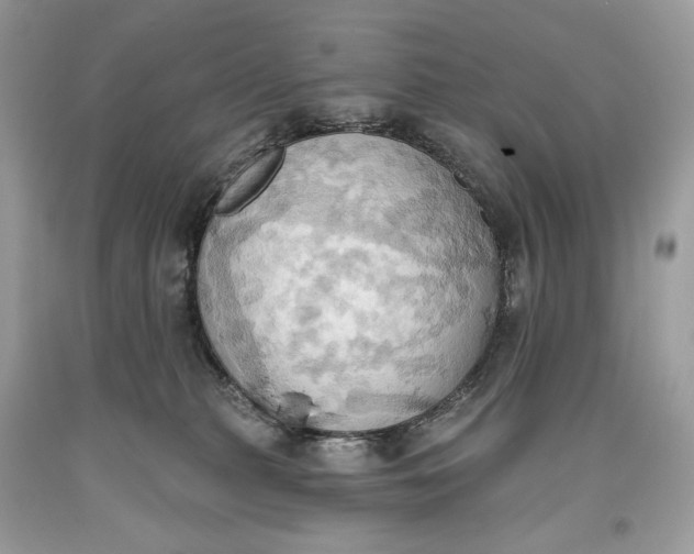 X0000093520279200710261226