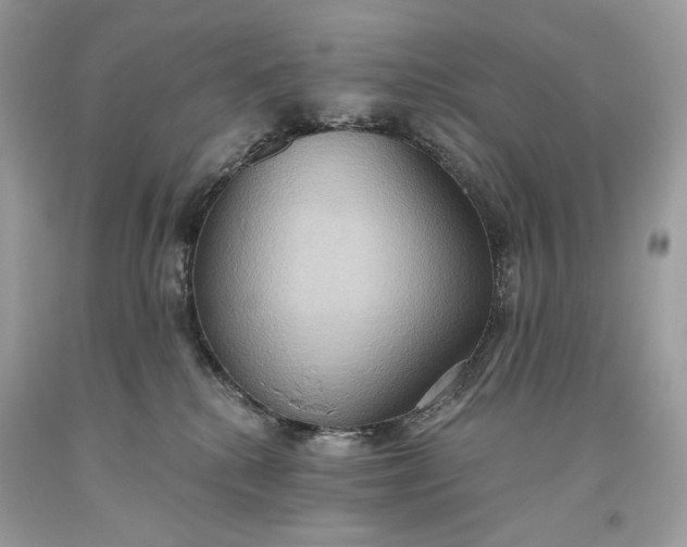 X0000093520280200710261226