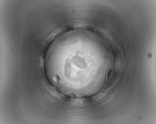 X0000093520282200710261226