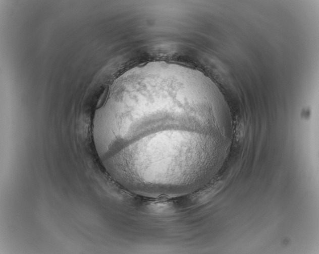 X0000093520283200710261226