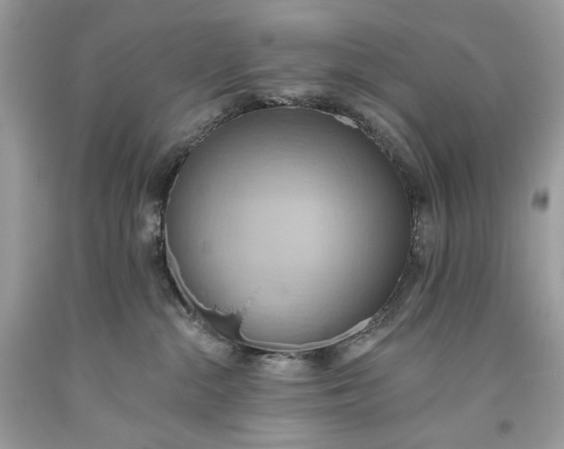 X0000093520284200710261226