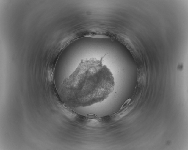 X0000093520285200710261226