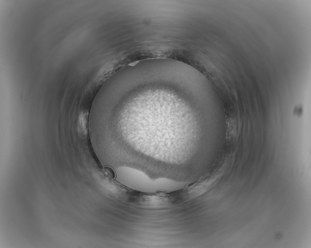 X0000093520286200710261226