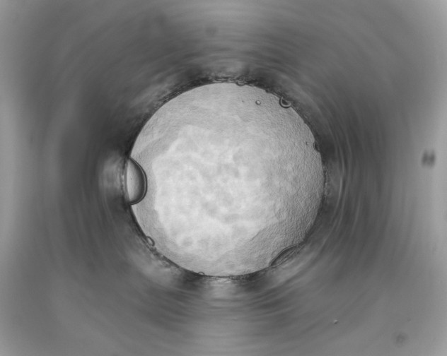 X0000093520287200710261226