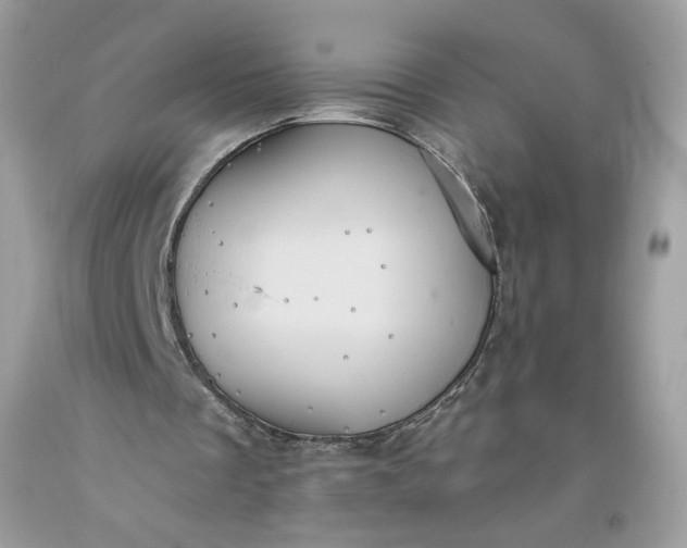 X0000093520289200710261226