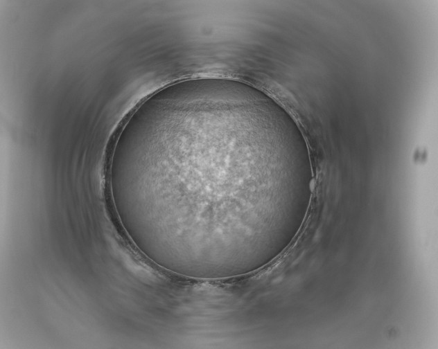 X0000093520290200710261226