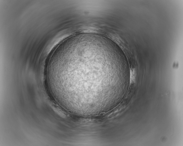 X0000093520291200710261226