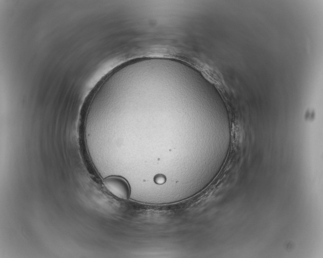 X0000093520292200710261226