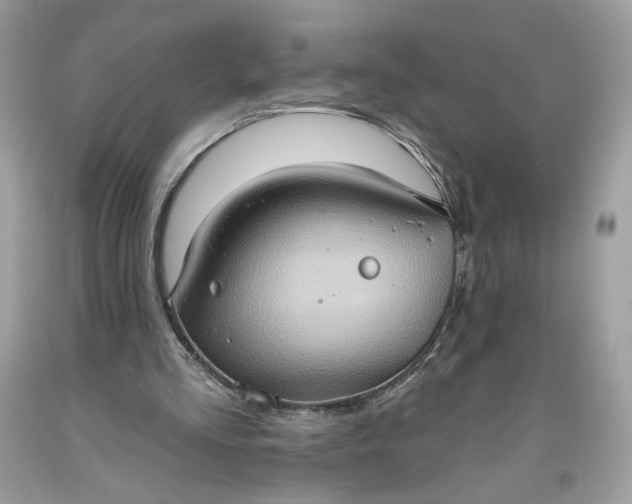 X0000093520293200710261226