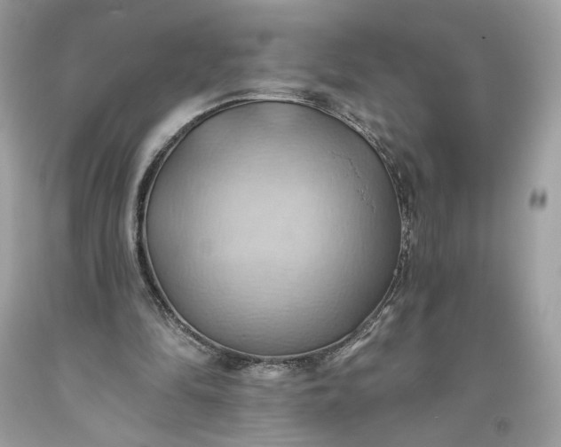 X0000093520294200710261225