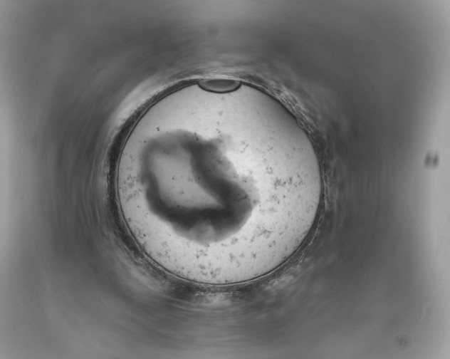 X0000093520295200710261225