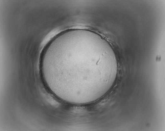 X0000093520296200710261225