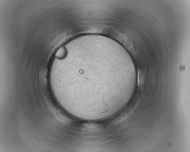 X0000093520300200710261225