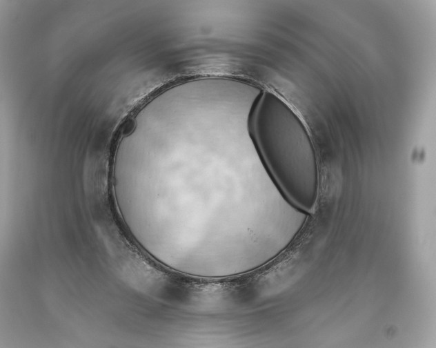 X0000093520301200710261225