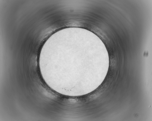 X0000093520302200710261225