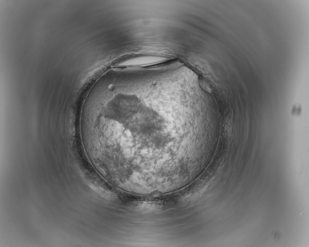 X0000093520303200710261225