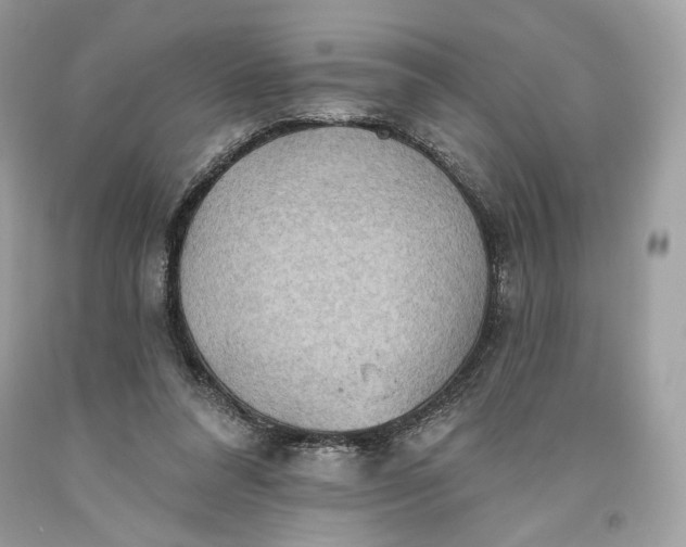 X0000093520304200710261225