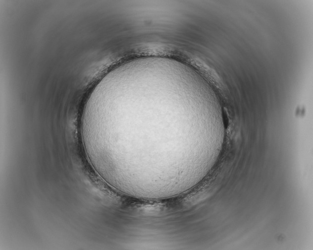 X0000093520306200710261225