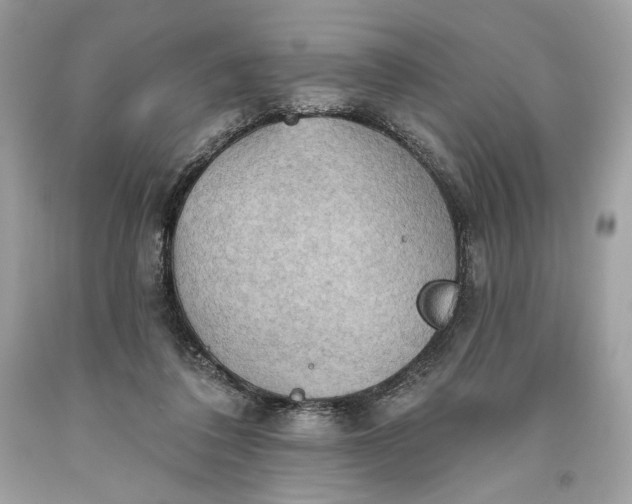 X0000093520308200710261225