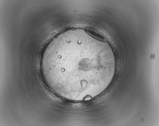 X0000093520309200710261225