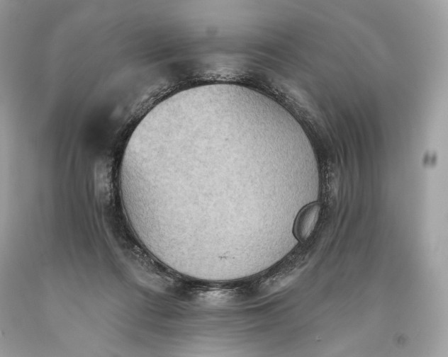 X0000093520312200710261225