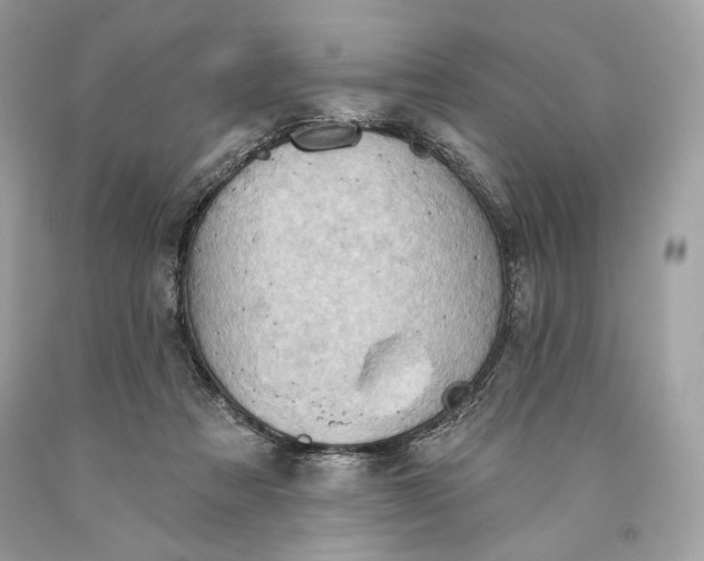 X0000093520313200710261225