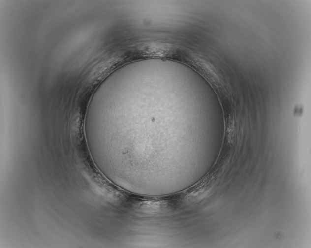 X0000093520314200710261225