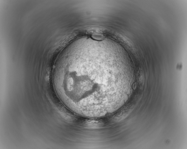 X0000093520315200710261225