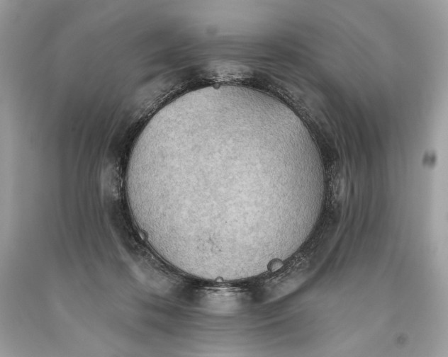 X0000093520316200710261225