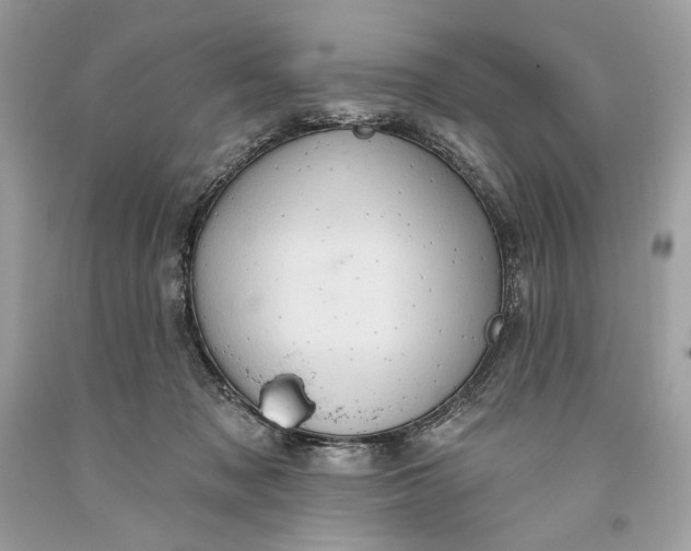 X0000093520317200710261225