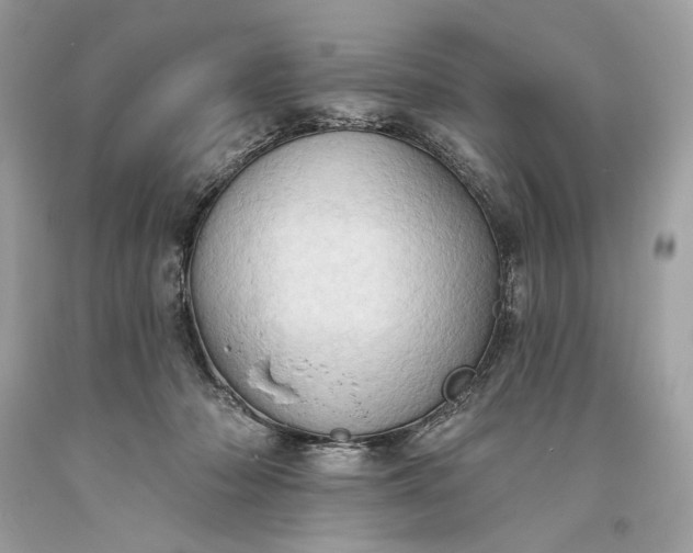 X0000093520318200710261225