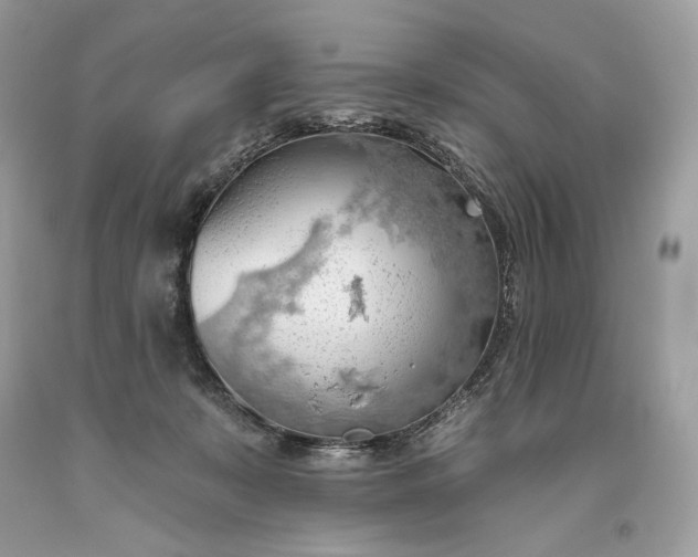 X0000093520319200710261225