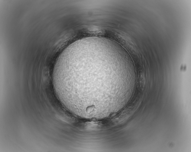 X0000093520320200710261225