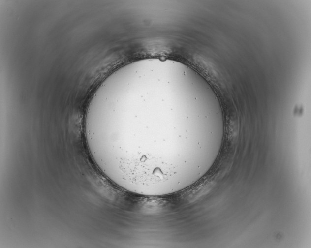 X0000093520321200710261225