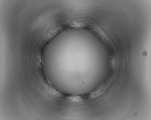 X0000093520322200710261225