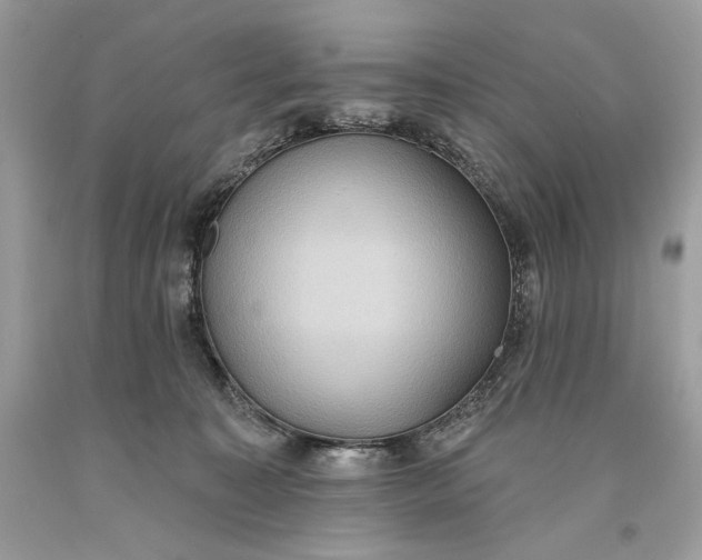 X0000093520323200710261225