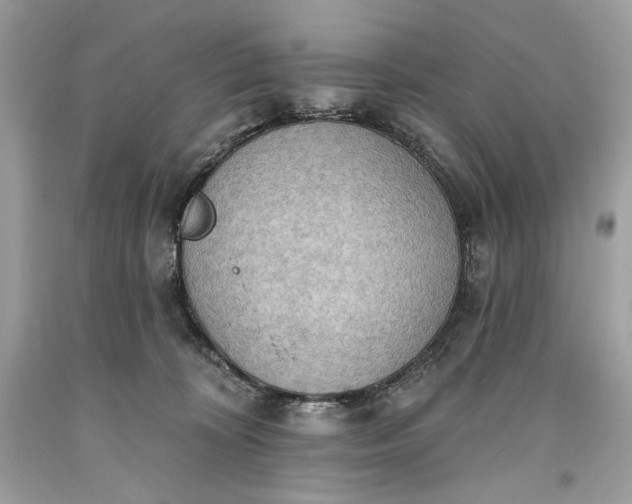 X0000093520324200710261225